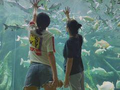 -波塞冬旅游度假区