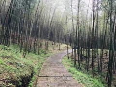 -广州市石门国家森林公园