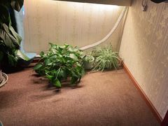 -怡心阁·水疗SPA(天府广场店)