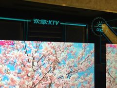 -Huange欢歌KTV(欣都龙城vcpark购物中心店)