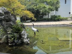 -广富林宰相府酒店·水云间