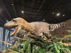 -国家自然博物馆