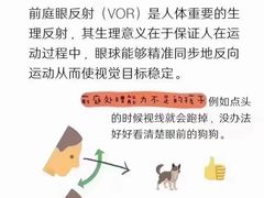 -金色雨林感统训练·专注力·语言认知·心理沙盘(天通苑校区)