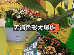 -合景·悠方(成都店)