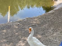 -东郊湿地公园
