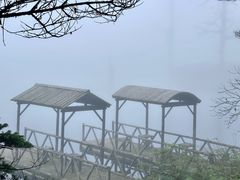-瓦屋山景区