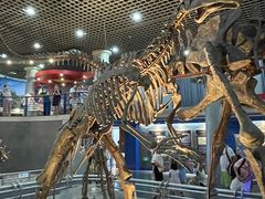 -国家自然博物馆