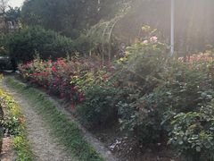 -人民公园(罗湖区)