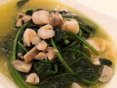 上汤菠菜-金时代顺风大酒店(金山店)