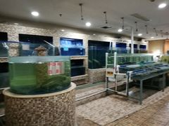 -中国饭店-餐厅