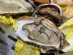 鲍鱼-日进一片海.生腌海鲜火锅.宵夜烧烤(三里屯总店)