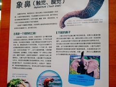 -太原动物园