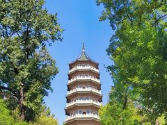 -灵谷景区