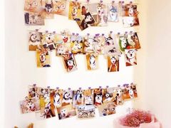 -Husky Go! 哈士奇体验馆·宠物咖啡厅狗咖