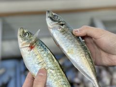 -东山壹号海鲜餐厅(金銮名都店)