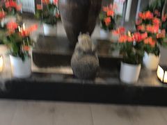 -梅花香里大酒店(郁金香路店)