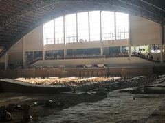 -秦始皇帝陵博物院-丽山园