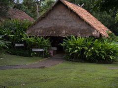 -大象粑粑造纸公园