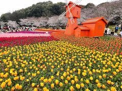 -苏州上方山国家森林公园