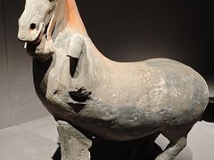 -大同市博物馆