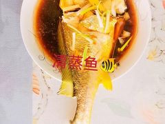 -鲸励母婴月嫂(望京店)