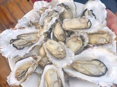 海蛎子-87号烧烤海鲜·大排档(金沙滩店)