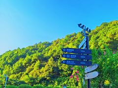 -桃花岭景区