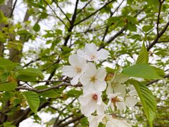 -古宇湖风景名胜区