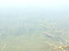 -南京市无想山景区