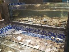 -喜庭海鲜自助(北辰三角洲北辰荟店)