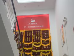 -天鹅到家·保姆月嫂育儿嫂(朝阳店)