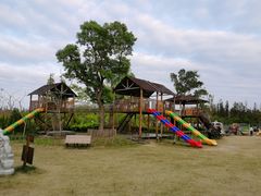 -上海长兴岛郊野公园