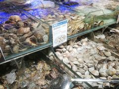 -盒马鲜生(岭南新世界店)