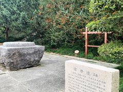 -上海方塔园