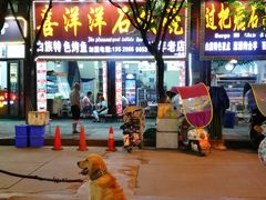 门面-大理.老字号渝记酸萝卜乌鱼(古城总店)