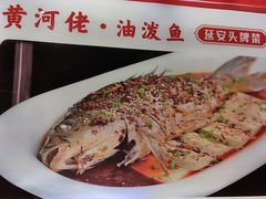 -黄河佬·油泼大鲤鱼.延安头牌菜(百米大道店)