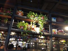 -探鱼·鲜青椒爽麻烤鱼(西南商都店)