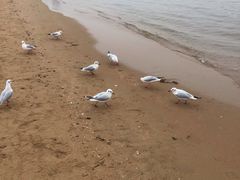 -老虎石海上公园