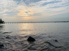 -宝安西湾红树林湿地公园