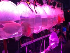 -中环花鸟鱼虫市场