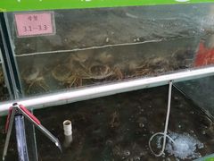 -阳澄湖大闸蟹·琼灵阁牌品牌连锁(吴中总店)