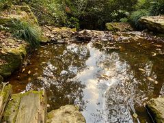 -杭州半山国家森林公园