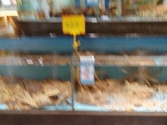 -阿伟海鲜楼·福建菜(延寿店)
