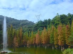 -广州市帽峰山景区