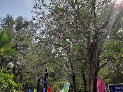 -北海市海滨公园