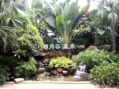 -厦门日月谷温泉渡假村
