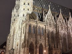 -斯蒂芬主教座堂(Stephansdom)