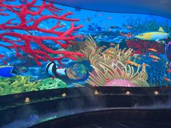 -唐宫足道·SPA·住宿24H会所(木渎店)