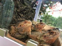 -南宫五洲植物乐园