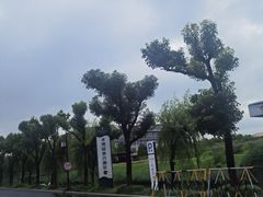 -宝盛水博园大酒店·中餐厅·杭帮菜